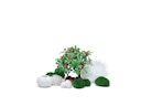 Vorschaubild biOrb Decor Set 15L Winter (55025)