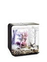 Vorschaubild biOrb Decor Set 30L Pink Ocean (48444)