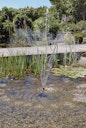 Vorschaubild Pontec Wasserspielpumpe PondoVario 1500