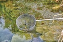 Vorschaubild Oase Fischkescher groß