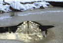 Vorschaubild Oase AquaOxy 4800