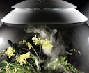 Vorschaubild BiOrb Terrarium AIR 60