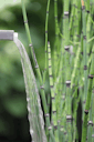 Vorschaubild Oase Wasserfall Waterfall Set 30