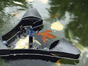 Vorschaubild Oase SwimSkim 50