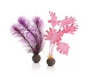 Vorschaubild biOrb Seetang Set klein pink (46081)