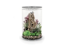 biOrb Moorgehölz Ornament L (72775)Zubehörbild