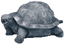 Vorschaubild Oase Wasserspeier Schildkröte