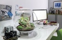 Vorschaubild BiOrb Terrarium AIR 60