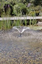 Vorschaubild Pontec Wasserspielpumpe PondoVario 1500