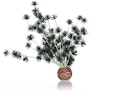Vorschaubild biOrb Bonsai Ball schwarz (55065)