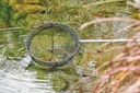 Vorschaubild Oase Fischkescher groß
