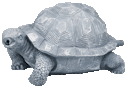 Vorschaubild Oase Wasserspeier Schildkröte