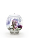 Vorschaubild biOrb Decor Set 30L Pink Ocean (48444)
