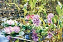 Vorschaubild Pontec Kunstpflanze PondoHyacinth Blooming