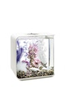 Vorschaubild biOrb Decor Set 30L Pink Ocean (48444)